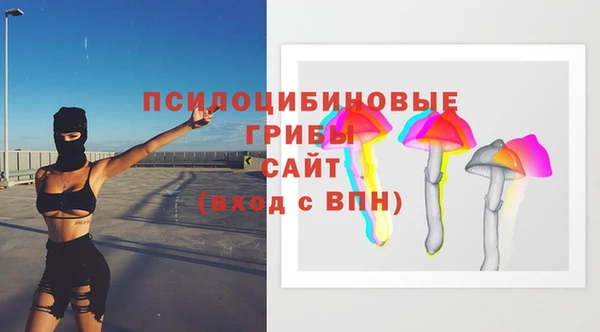 ГАЛЛЮЦИНОГЕННЫЕ ГРИБЫ Сосновый Бор