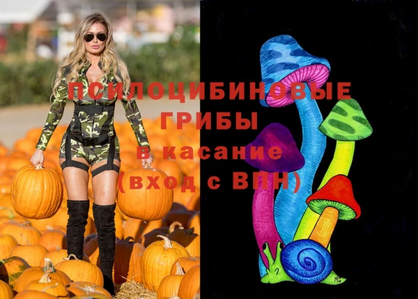 гашик Володарск